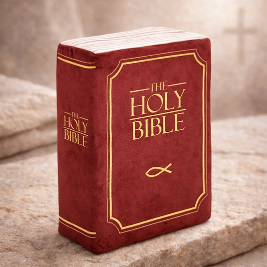 Children’s Scripture Bible Pillow